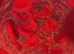 Ученые создали эмбриональные стволовые клетки из стволовых клеток взрослого организма